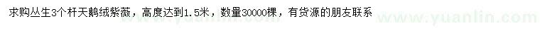 求購(gòu)叢生天鵝絨紫薇