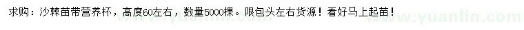 求購(gòu)高度60公分左右沙棘苗