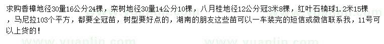 求購香樟、欒樹、八月桂等
