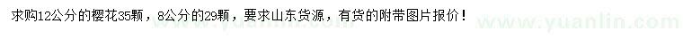 求購(gòu)8、12公分櫻花
