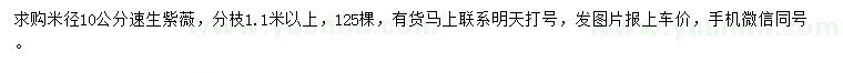 求購米徑10公分速生紫薇