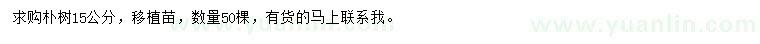 求購15公分樸樹
