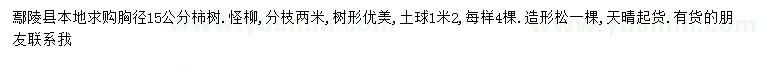 求購柿樹、怪柳、造型松