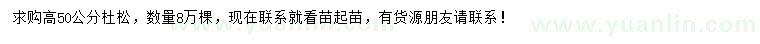 求購(gòu)高50公分杜松