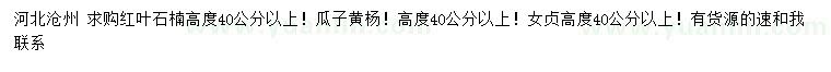 求購紅葉石楠、瓜子黃楊、女貞