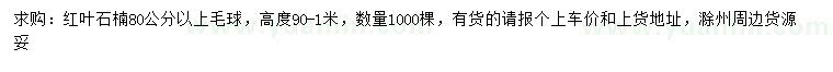 求購80公分以上紅葉石楠