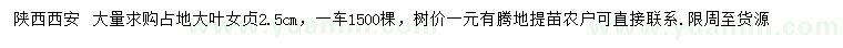 求購2.5公分占地大葉女貞