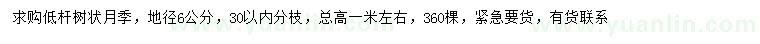 求購(gòu)地徑6公分低桿樹狀月季