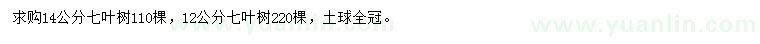 求購12、14公分七葉樹