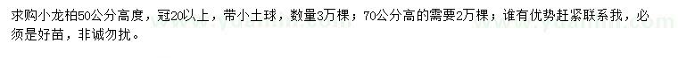 求購高度50、70公分小龍柏