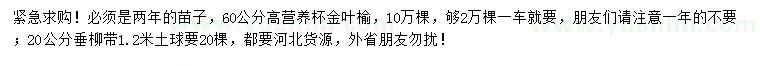 求購(gòu)高60公分金葉榆、20公分垂柳