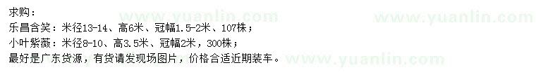 求購米徑13-14公分樂昌含笑、8-10公分小葉紫薇