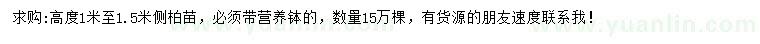 求購高度1-1.5米側(cè)柏