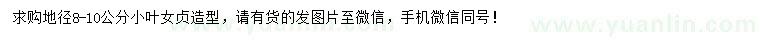 求購地徑8-10公分小葉女貞造型