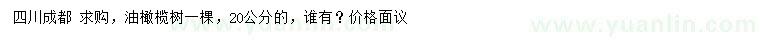 求購20公分油橄欖