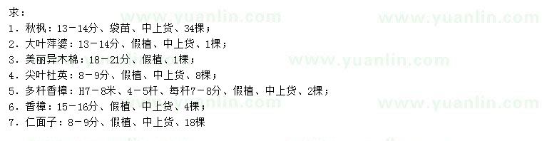 求購秋楓、大葉萍婆、美麗異木棉等