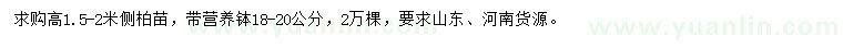 求購(gòu)高1.5-2米側(cè)柏苗