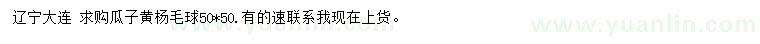 求購50*50公分瓜子黃楊毛球