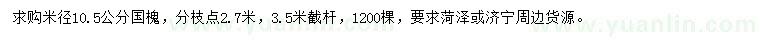 求購米徑10.5公分國槐