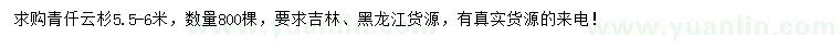 求購5.5-6米青仟云杉