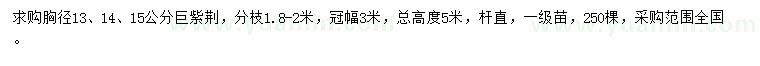 求購胸徑13、14、15公分巨紫荊