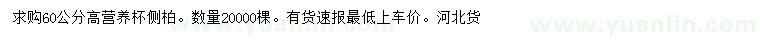 求購(gòu)高60公分側(cè)柏