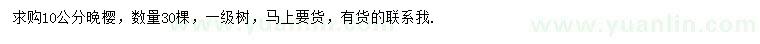 求購10公分晚櫻
