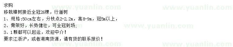 求購50公分左右移栽樟樹