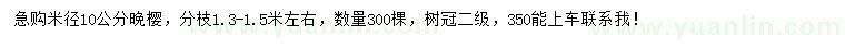 求購米徑10公分晚櫻