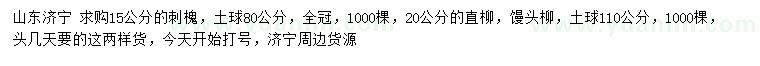 求購刺槐、直柳、饅頭柳