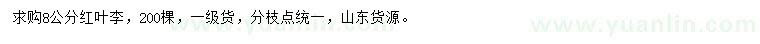 求購8公分紅葉李