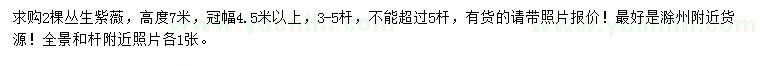 求購高7米叢生紫薇