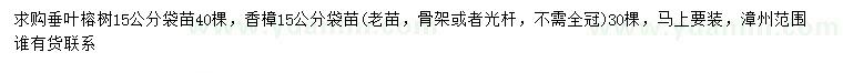 求購15公分垂葉榕、香樟