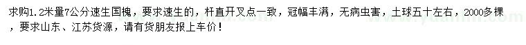 求購1.2米量7公分速生國槐