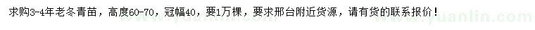 求購高度60-70公分老冬青