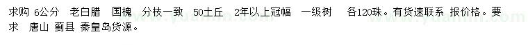 求購6公分老白臘、國槐