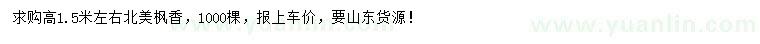求購高1.5米左右北美楓香