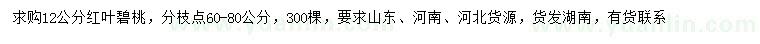 求購12公分紅葉碧桃