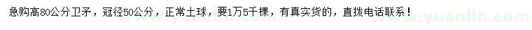 求購(gòu)高80公分衛(wèi)矛