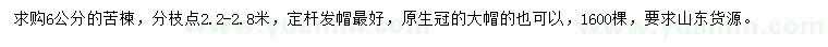 求購6公分苦楝