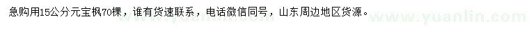 求購15公分元寶楓