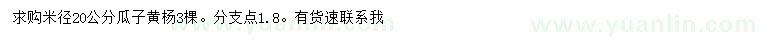 求購(gòu)米徑20公分瓜子黃楊