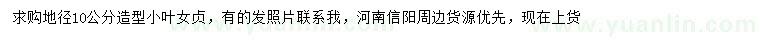 求購地徑10公分小葉女貞
