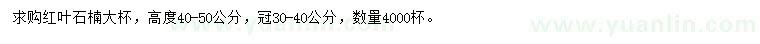 求購高度40-50公分紅葉石楠