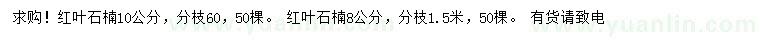 求購(gòu)8、10公分紅葉石楠