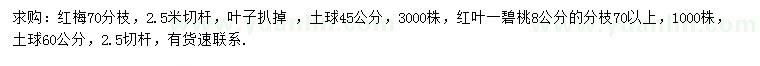 求購紅梅、8公分紅葉碧桃