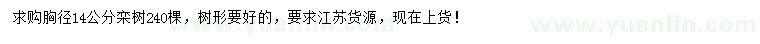 求購(gòu)胸徑14公分欒樹(shù)