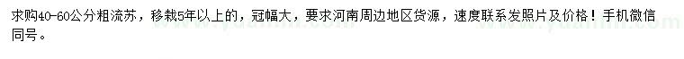 求購粗40-60公分流蘇