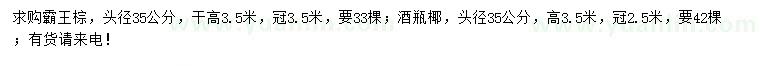 求購頭徑35公分霸王棕、酒瓶椰
