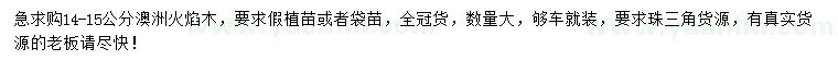 求購14-15公分澳洲火焰木
